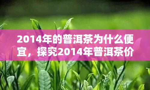 2014年的普洱茶为什么便宜，探究2014年普洱茶价格走低的原因