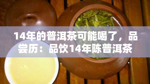 14年的普洱茶可能喝了，品尝历：品饮14年陈普洱茶的美妙体验