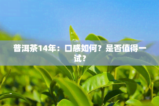 普洱茶14年：口感如何？是否值得一试？