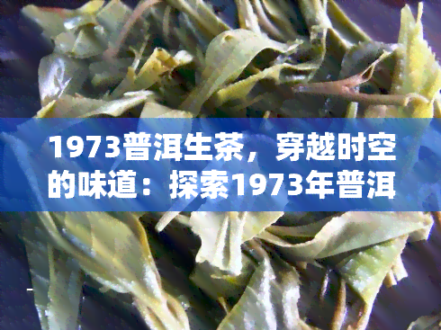 1973普洱生茶，穿越时空的味道：探索1973年普洱生茶的魅力