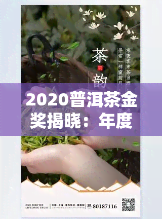 2020普洱茶金奖揭晓：年度获奖茶叶全面出炉！