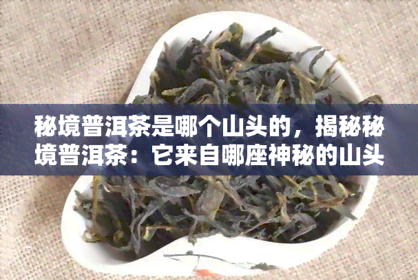 秘境普洱茶是哪个山头的，揭秘秘境普洱茶：它来自哪座神秘的山头？