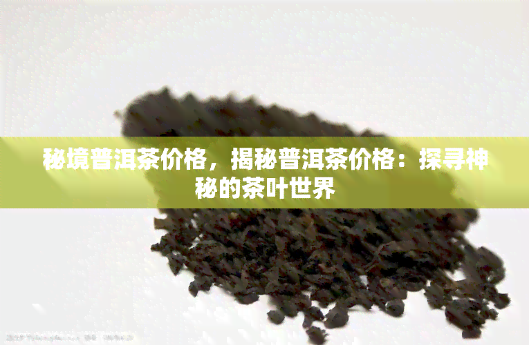 秘境普洱茶价格，揭秘普洱茶价格：探寻神秘的茶叶世界