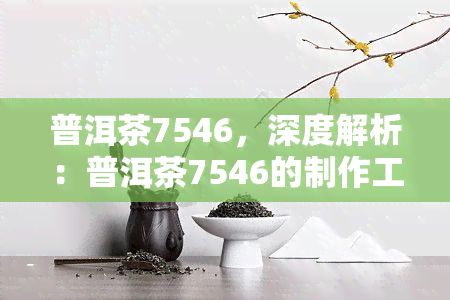 普洱茶7546，深度解析：普洱茶7546的制作工艺与品鉴方法