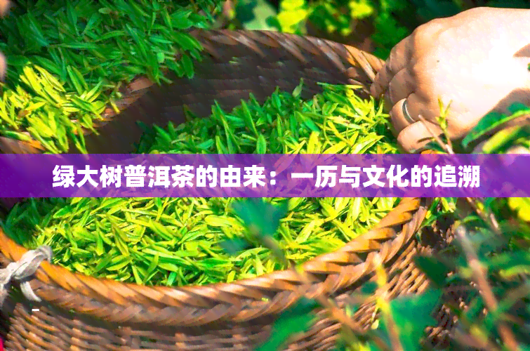 绿大树普洱茶的由来：一历与文化的追溯