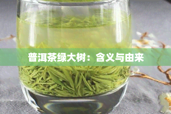 普洱茶绿大树：含义与由来