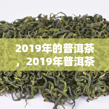 2019年的普洱茶，2019年普洱茶：品味岁月的沉淀与陈香