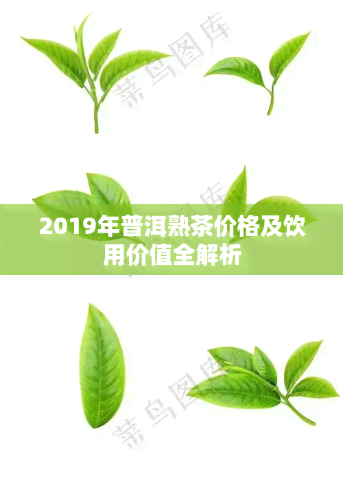 2019年普洱熟茶价格及饮用价值全解析