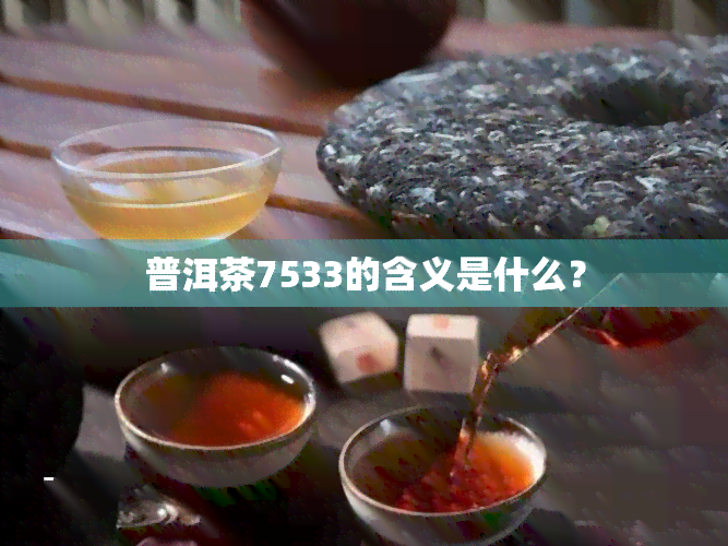 普洱茶7533的含义是什么？