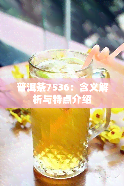 普洱茶7536：含义解析与特点介绍