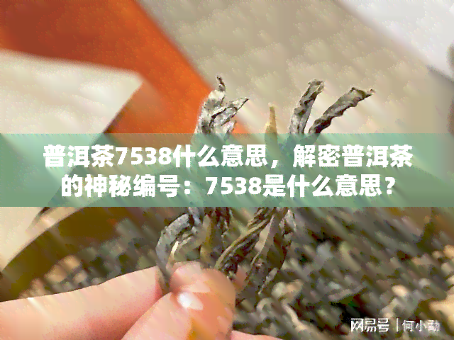 普洱茶7538什么意思，解密普洱茶的神秘编号：7538是什么意思？