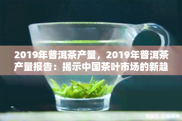 2019年普洱茶产量，2019年普洱茶产量报告：揭示中国茶叶市场的新趋势