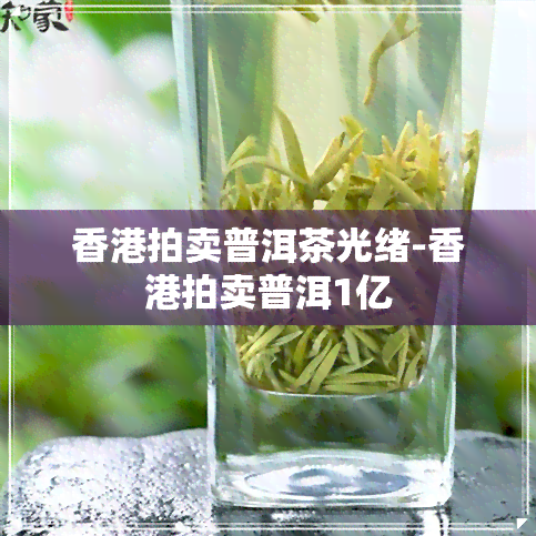 拍卖普洱茶光绪-拍卖普洱1亿