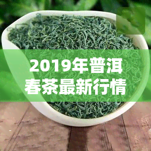 2019年普洱春茶最新行情，深度解析：2019年普洱春茶市场最新行情走势