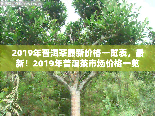 2019年普洱茶最新价格一览表，最新！2019年普洱茶市场价格一览表出炉