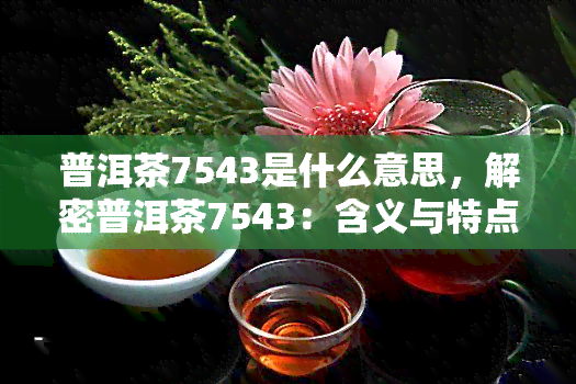 普洱茶7543是什么意思，解密普洱茶7543：含义与特点