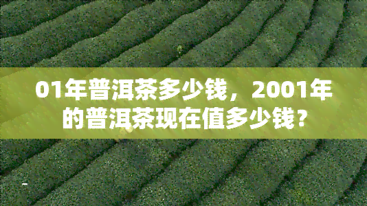 01年普洱茶多少钱，2001年的普洱茶现在值多少钱？