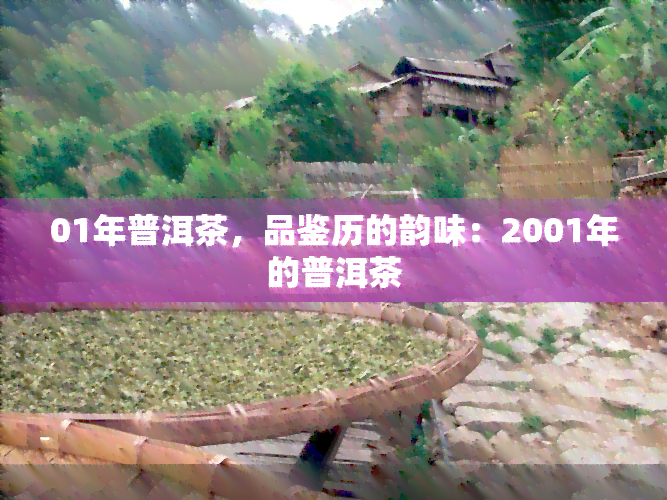 01年普洱茶，品鉴历的韵味：2001年的普洱茶