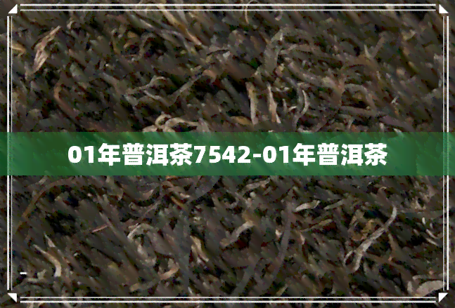 01年普洱茶7542-01年普洱茶