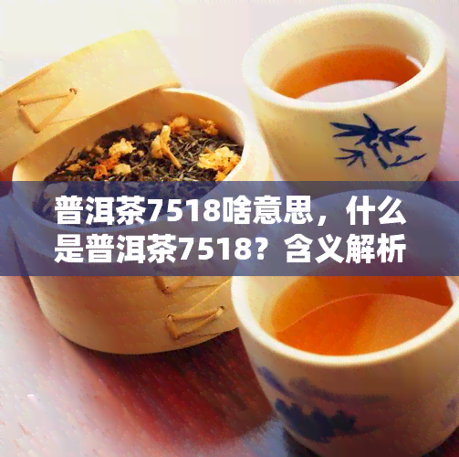 普洱茶7518啥意思，什么是普洱茶7518？含义解析