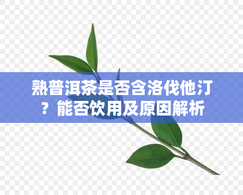 熟普洱茶是否含洛伐他汀？能否饮用及原因解析