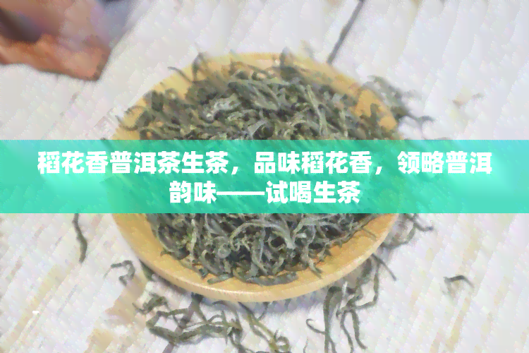 稻花香普洱茶生茶，品味稻花香，领略普洱韵味——试喝生茶