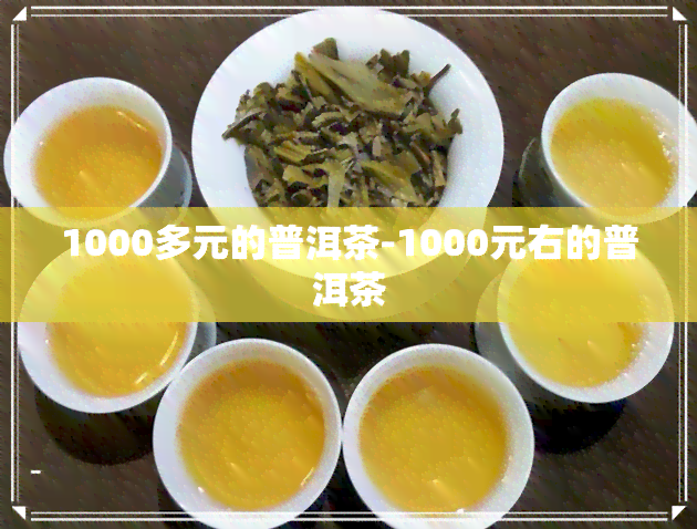 1000多元的普洱茶-1000元右的普洱茶