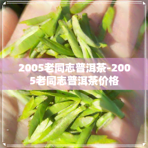 2005老同志普洱茶-2005老同志普洱茶价格