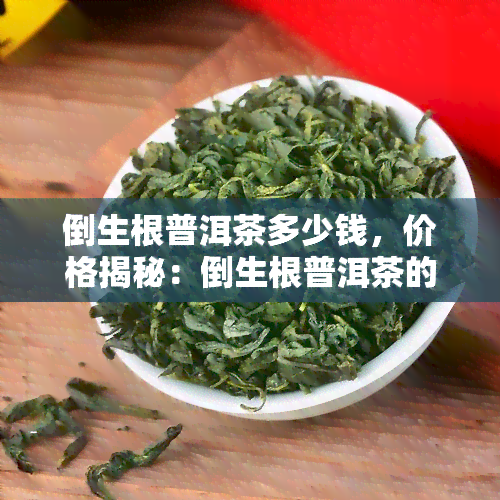 倒生根普洱茶多少钱，价格揭秘：倒生根普洱茶的售价是多少？