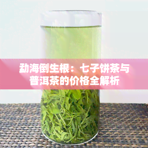 勐海倒生根：七子饼茶与普洱茶的价格全解析