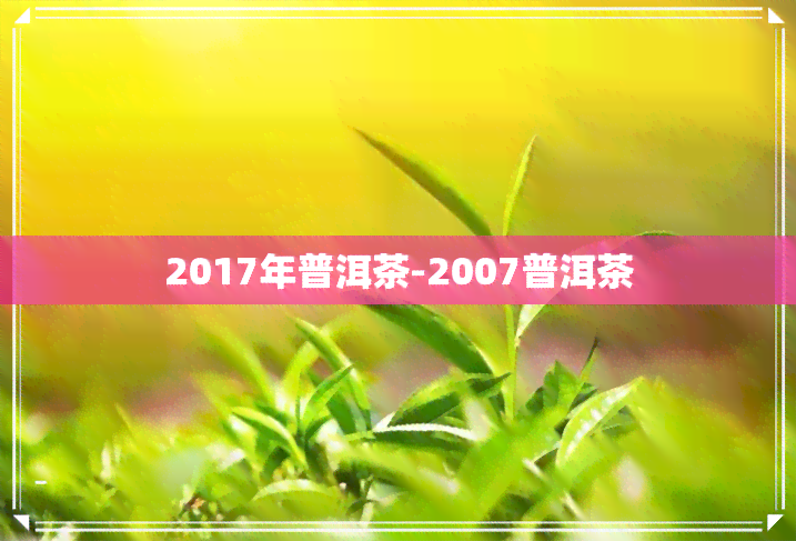 2017年普洱茶-2007普洱茶