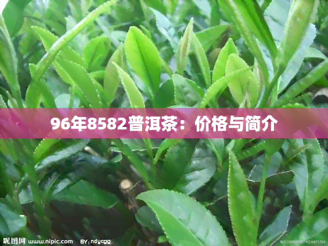 96年8582普洱茶：价格与简介