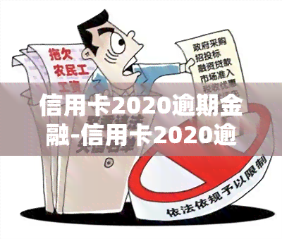 信用卡2020逾期金融-信用卡2020逾期金融案例分析