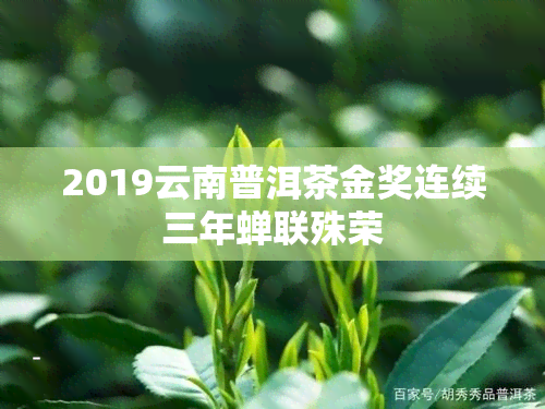 2019云南普洱茶金奖连续三年蝉联殊荣