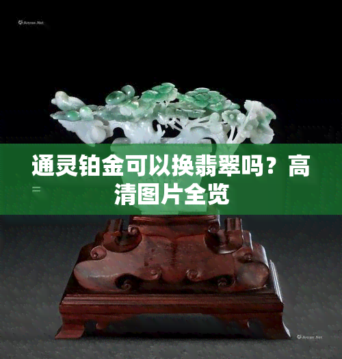 通灵铂金可以换翡翠吗？高清图片全览