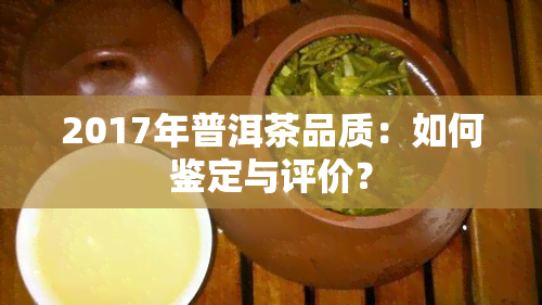 2017年普洱茶品质：如何鉴定与评价？