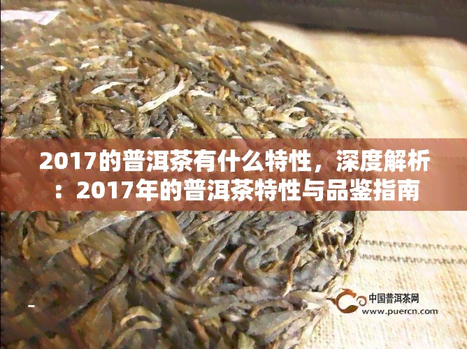 2017的普洱茶有什么特性，深度解析：2017年的普洱茶特性与品鉴指南