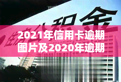 2021年信用卡逾期图片及2020年逾期截图合集