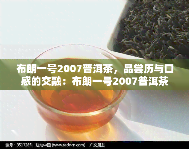 布朗一号2007普洱茶，品尝历与口感的交融：布朗一号2007普洱茶