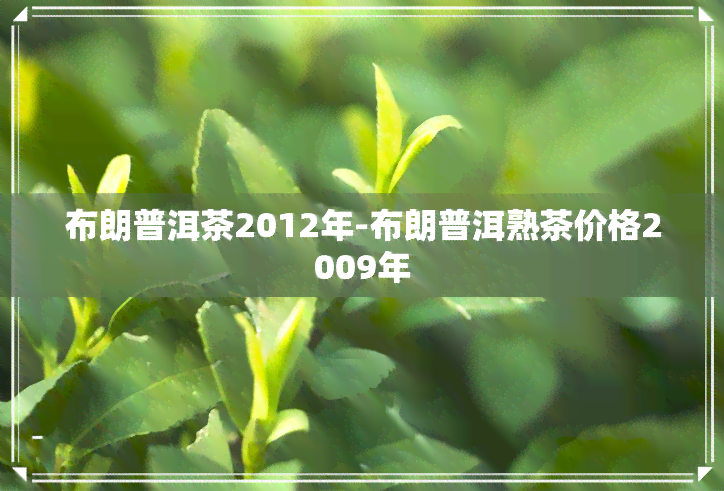 布朗普洱茶2012年-布朗普洱熟茶价格2009年