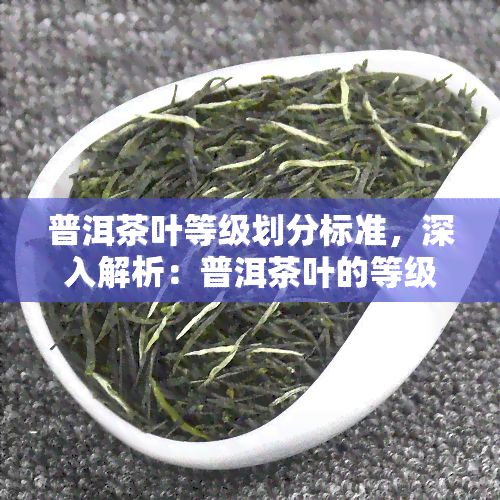 普洱茶叶等级划分标准，深入解析：普洱茶叶的等级划分标准