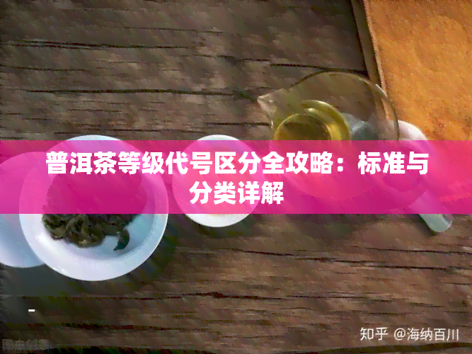 普洱茶等级代号区分全攻略：标准与分类详解