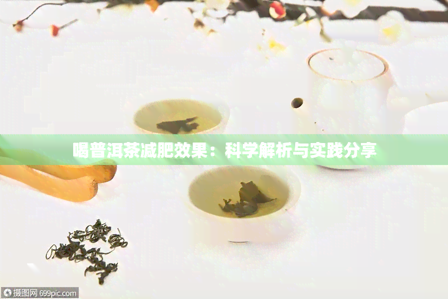 喝普洱茶减肥效果：科学解析与实践分享