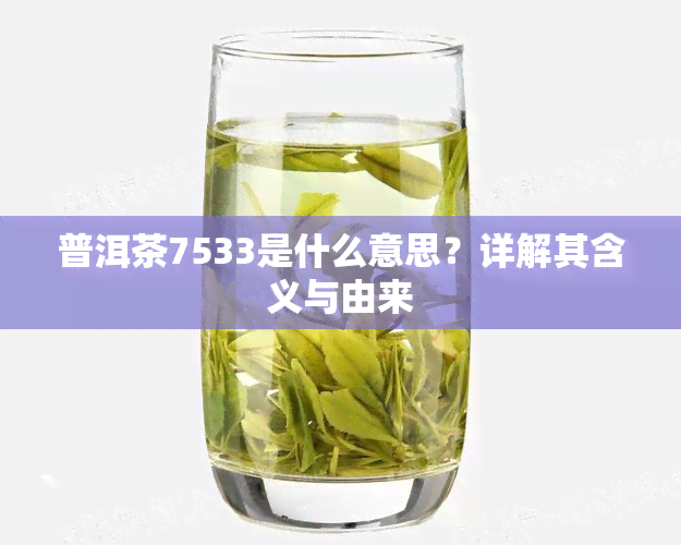 普洱茶7533是什么意思？详解其含义与由来