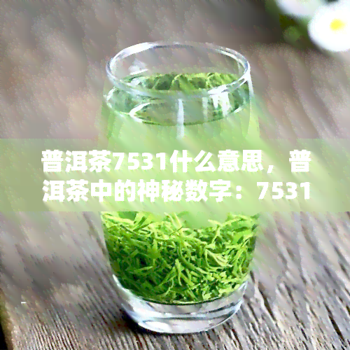 普洱茶7531什么意思，普洱茶中的神秘数字：7531的含义解析