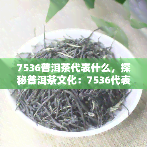 7536普洱茶代表什么，探秘普洱茶文化：7536代表着什么？