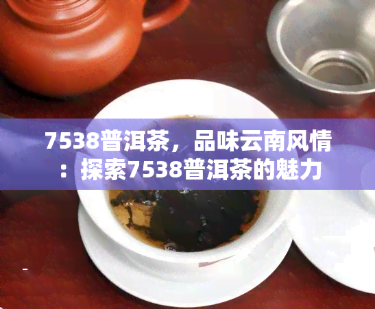 7538普洱茶，品味云南风情：探索7538普洱茶的魅力