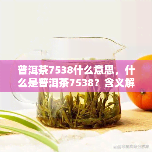 普洱茶7538什么意思，什么是普洱茶7538？含义解析