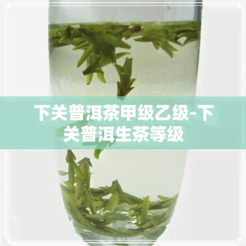 下关普洱茶甲级乙级-下关普洱生茶等级