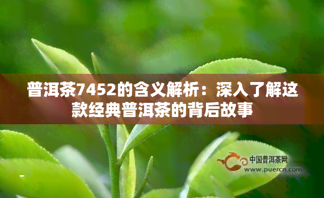 普洱茶7452的含义解析：深入了解这款经典普洱茶的背后故事